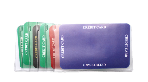 2 Pack of Plastic Checkbook Inserts